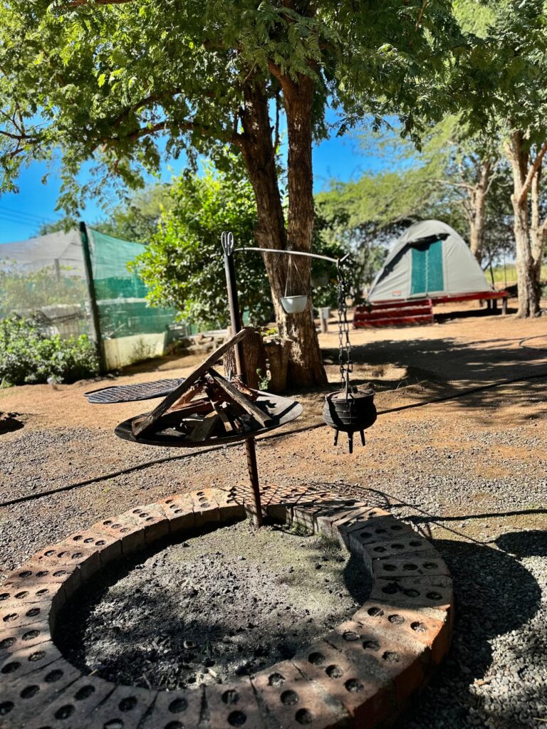 3 Day Pilanesberg Camping Safari